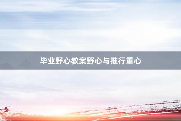 毕业野心教案野心与推行重心